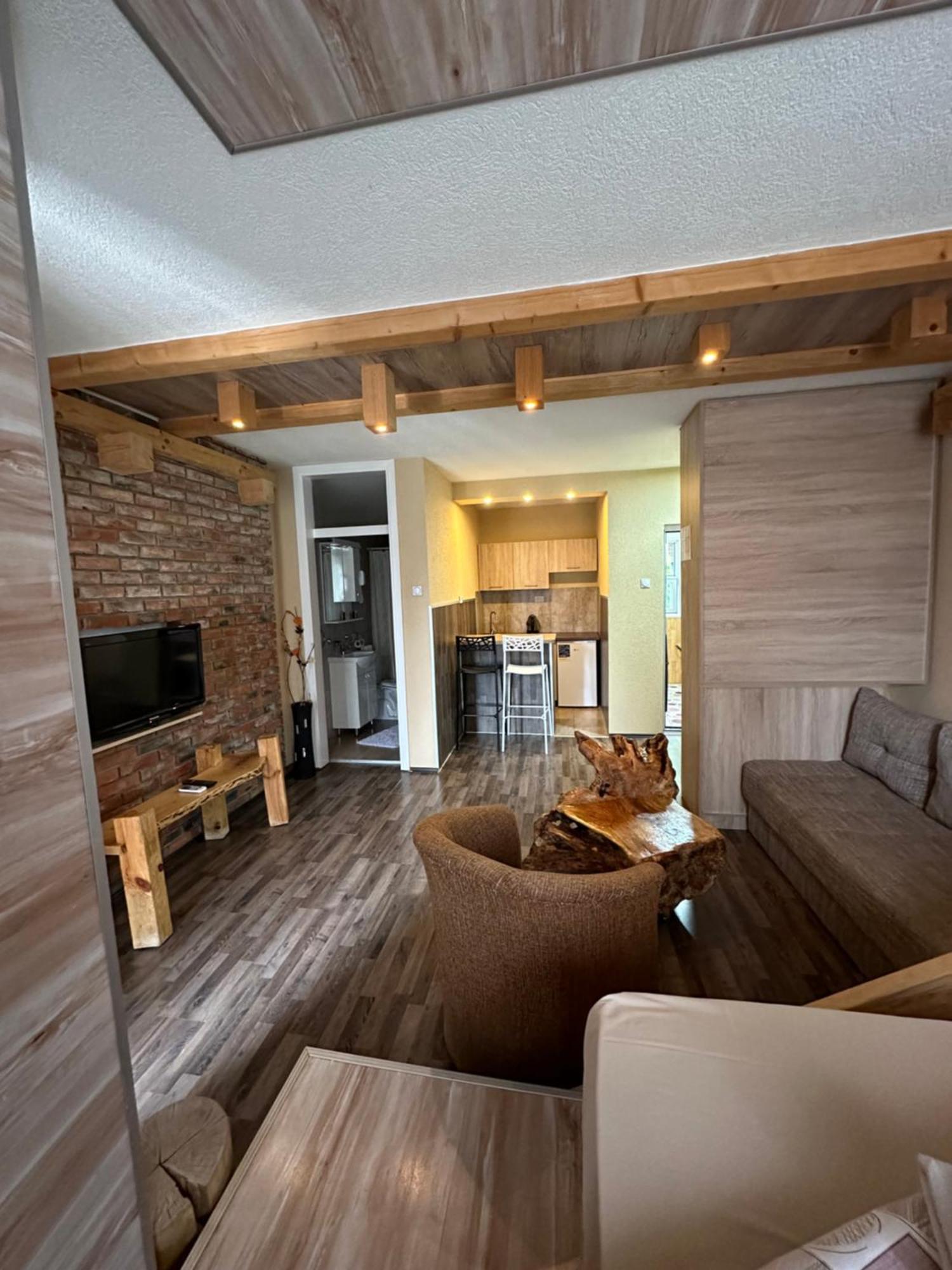 Apartments Park 2016 Surdulica Zewnętrze zdjęcie
